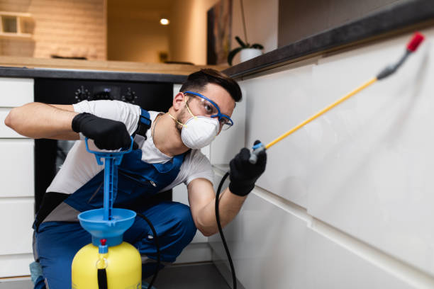Best Pest Control for Businesses  in Moenkopi, AZ