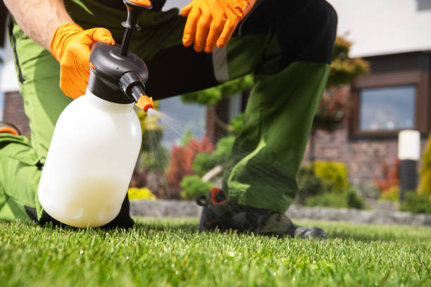 Best Commercial Pest Control Services  in Moenkopi, AZ